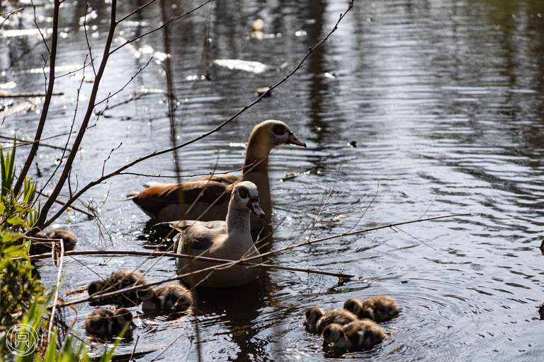 ISO: 100 | Focal Length: 135 mm | Aperture: ƒ/5,6 | Shutter Speed: 1/500