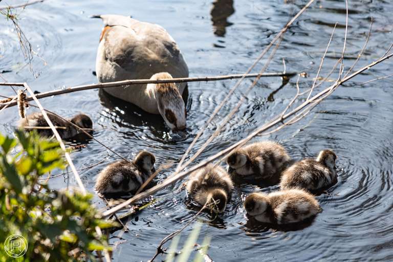 ISO: 100 | Focal Length: 135 mm | Aperture: ƒ/5,6 | Shutter Speed: 1/200