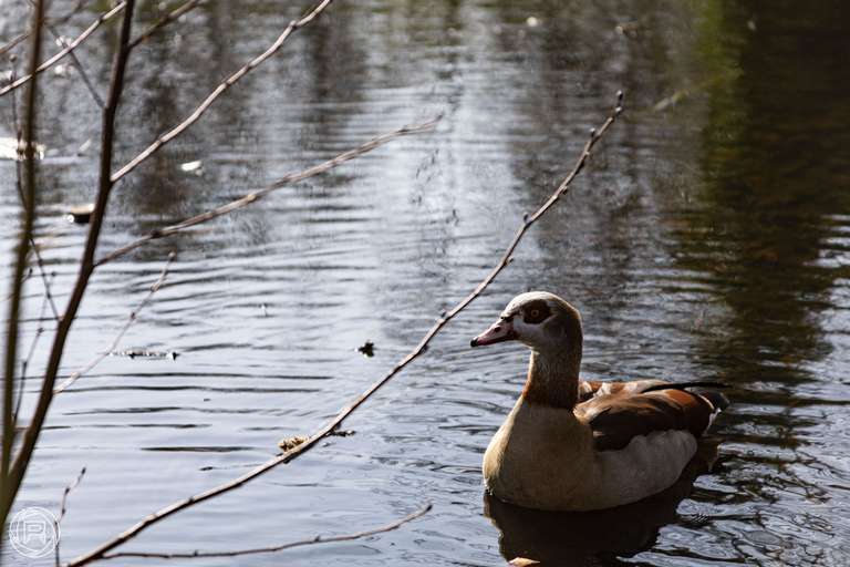 ISO: 100 | Focal Length: 135 mm | Aperture: ƒ/5,6 | Shutter Speed: 1/320