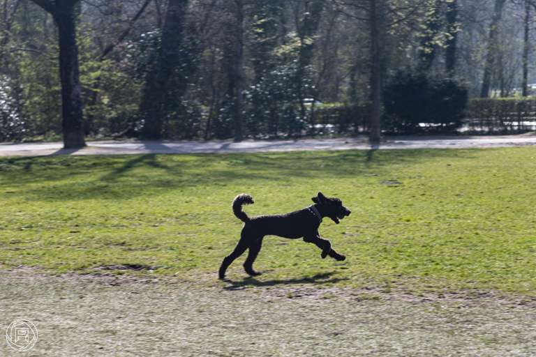 ISO: 100 | Focal Length: 135 mm | Aperture: ƒ/5,6 | Shutter Speed: 1/320