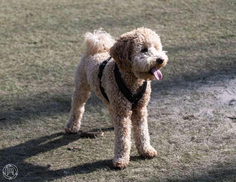 ISO: 100 | Focal Length: 135 mm | Aperture: ƒ/5,6 | Shutter Speed: 1/320