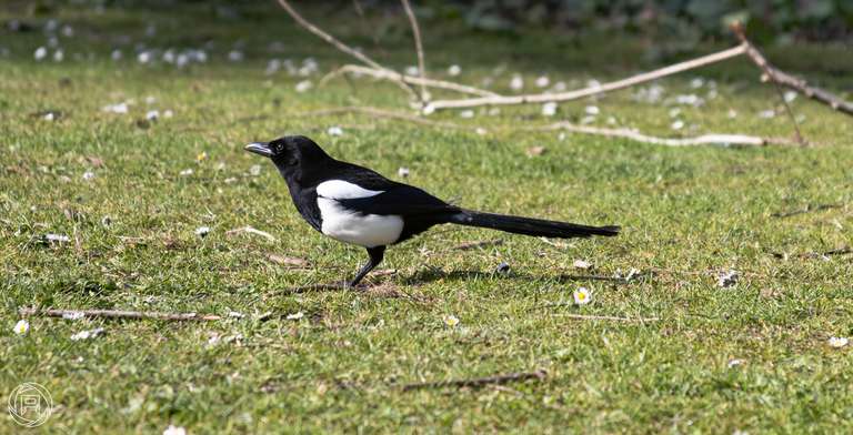 ISO: 100 | Focal Length: 135 mm | Aperture: ƒ/5,6 | Shutter Speed: 1/320