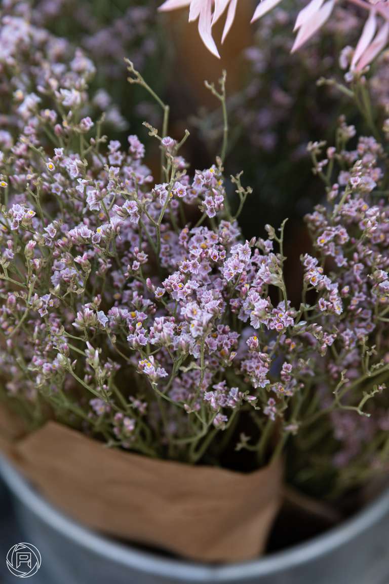 ISO: 400 | Focal Length: 135 mm | Aperture: ƒ/5,6 | Shutter Speed: 1/200