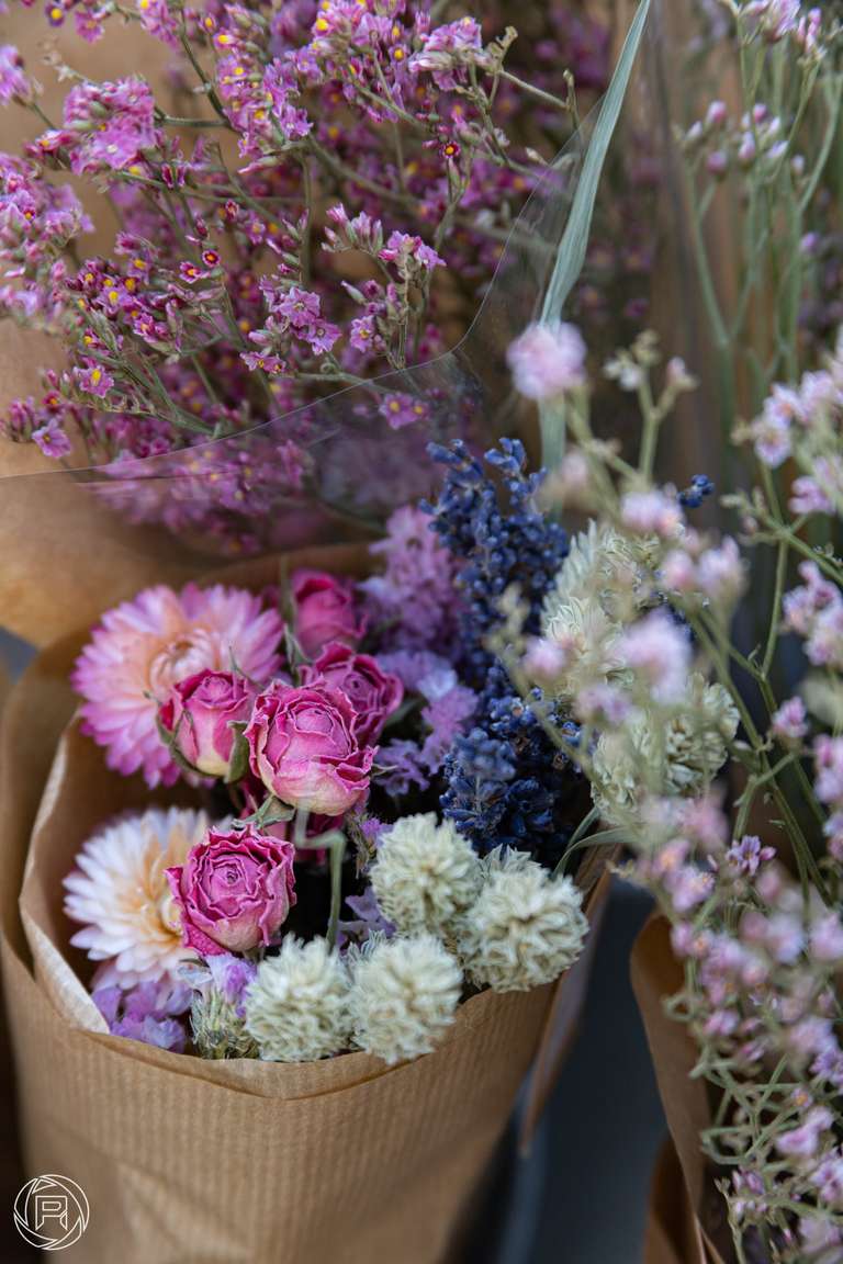 ISO: 500 | Focal Length: 135 mm | Aperture: ƒ/5,6 | Shutter Speed: 1/200