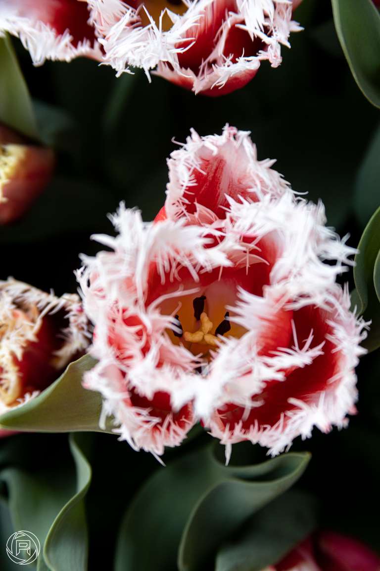 ISO: 640 | Focal Length: 135 mm | Aperture: ƒ/5,5 | Shutter Speed: 1/200