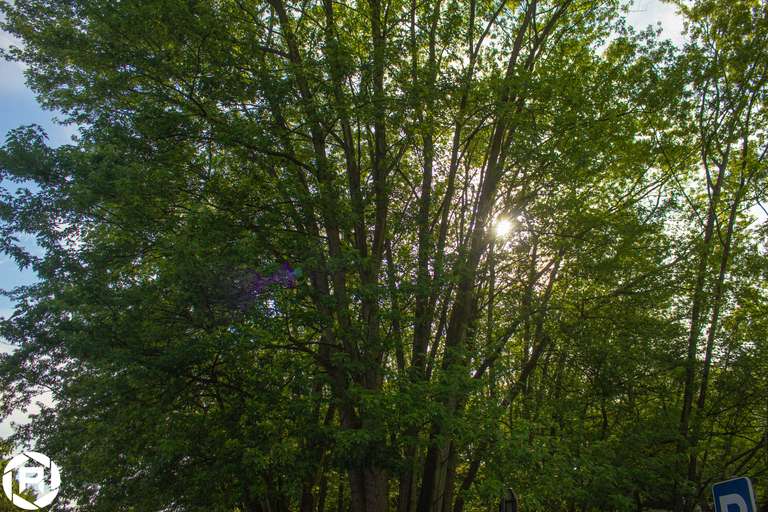 ISO: 400 | Focal Length: 18 mm | Aperture: ƒ/4,5 | Shutter Speed: 1/600