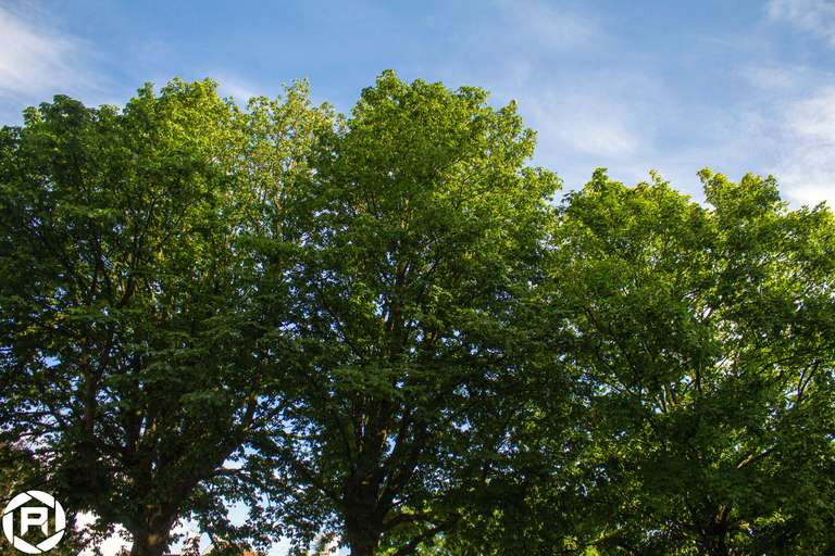 ISO: 400 | Focal Length: 18 mm | Aperture: ƒ/4,5 | Shutter Speed: 1/600