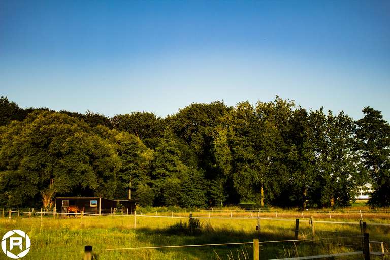 ISO: 200 | Focal Length: 32 mm | Aperture: ƒ/4,5 | Shutter Speed: 1/400